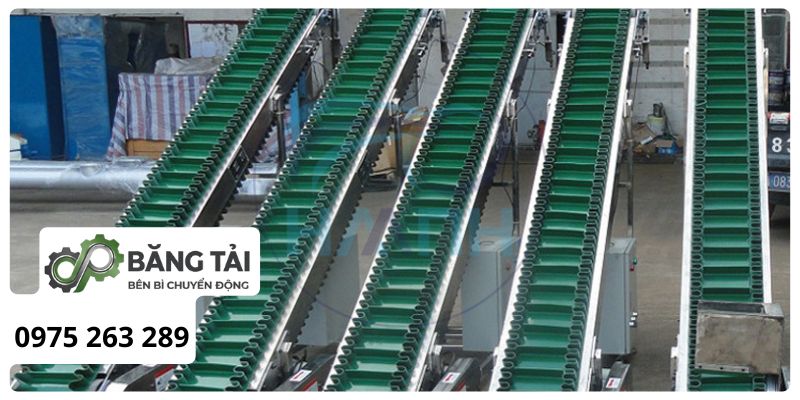 Băng tải tai bèo là gì?